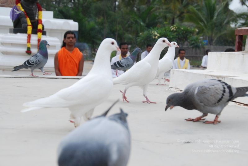 File:20100708 Photo 1179 1qsQagnx2sNzghcqZnR7grOI9LZKH2Ug-.JPG