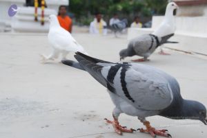 20100708 Photo 1180 1aIYv-36aQWDsH51zAXshXU AdAT1SjdA.JPG