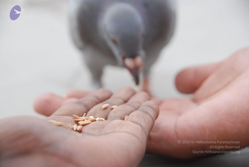 File:20100708 Photo 1183 1hG8087YrHQBZxy7lw4JJr9WWxA3dskRv.JPG