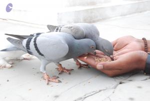 20100708 Photo 1184 1Bi46TkoC1OjxKV2ZCNMQ2YHl9xJldDnF.JPG