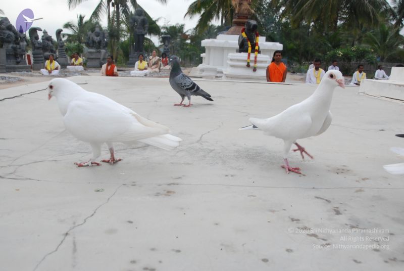 File:20100708 Photo 1187 1XnyA5vk5rRk2xlUK2PDpGhC1Qf3ZKzPf.JPG