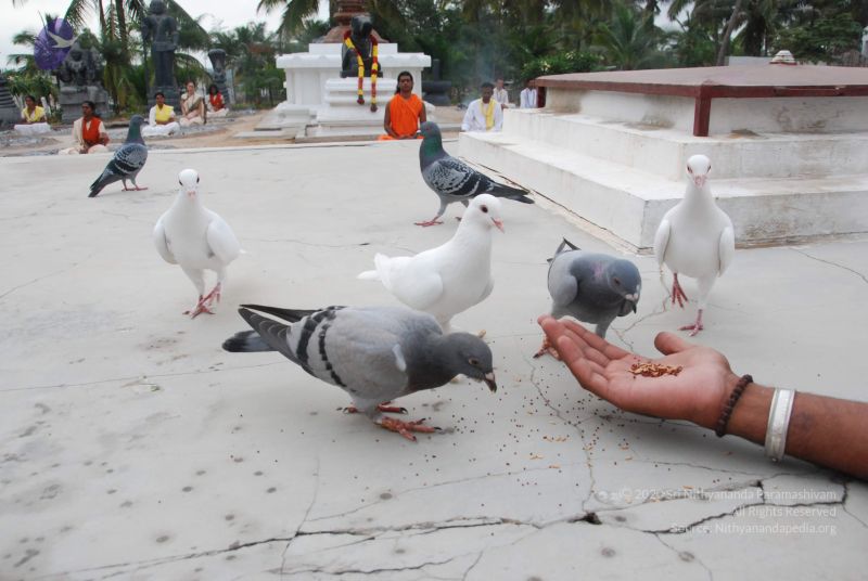 File:20100708 Photo 1192 1Ol-stgzpiCciMR2eJyzGCaeHct2zsXuJ.JPG