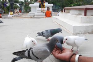 20100708 Photo 1194 1kkuptdRM0WXzP1jMqHiQbN0QwAC18O1q.JPG