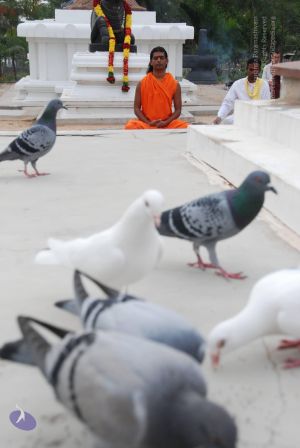 20100708 Photo 1195 1pcGzlCDvb1VuG3cTqEOdYZamkt7xM TK.JPG