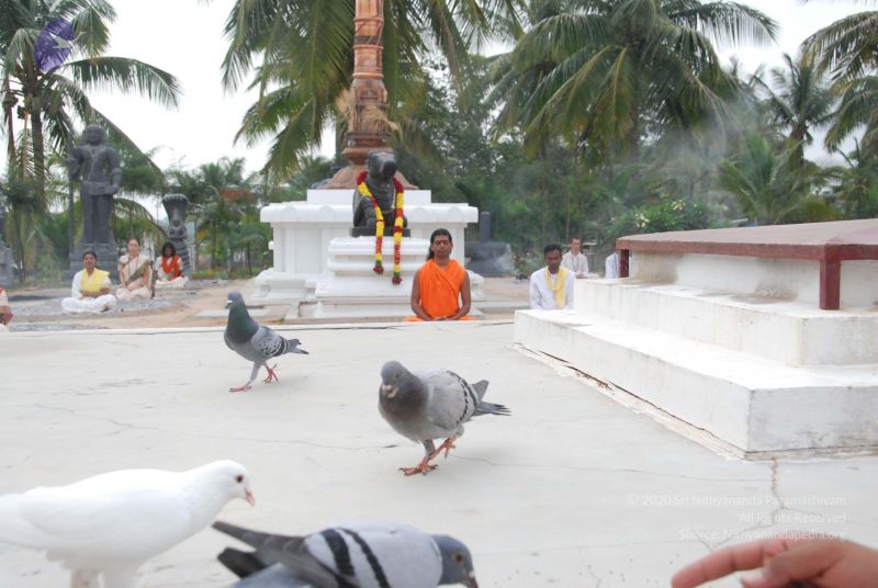 File:20100708 Photo 1198 1OwRyWztT6yYvfZnU7kg1N8aWkGu-LRCL.JPG