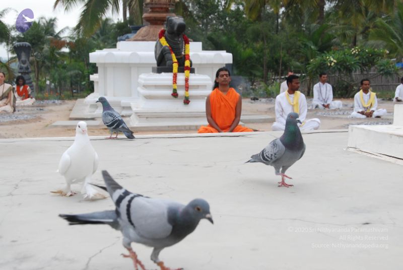 File:20100708 Photo 1205 1KzNa-i VvJlGF481g3M2FsN1PTAHc-oR.JPG