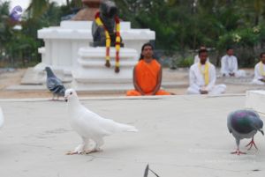 20100708 Photo 1207 1-In8FGSOVAnSq6jgWnIRl8jCOhoF0RlB.JPG