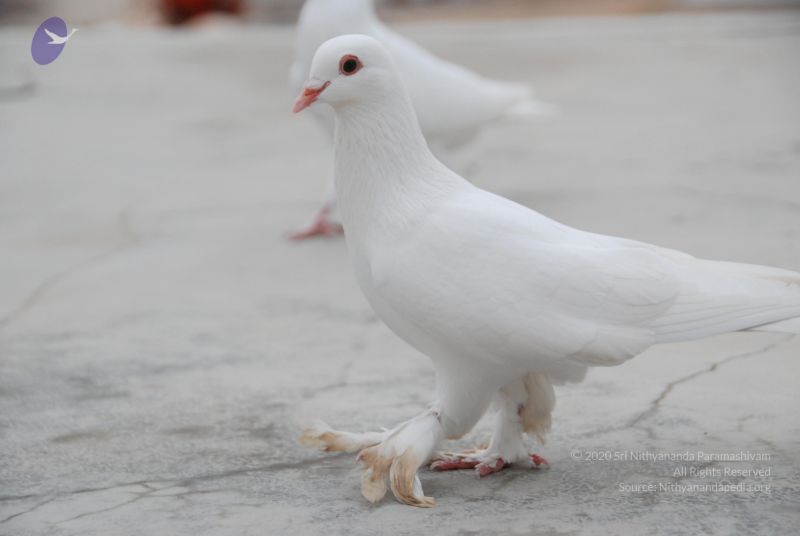 File:20100708 Photo 1211 1OB80YXnNG10ZPUjIR GO 6V3clRcqW7S.JPG