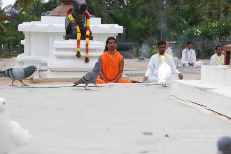 File:20100708 Photo 1215 1sEp36g73pjKILQDz0PczbWhip6CJxaTt.JPG