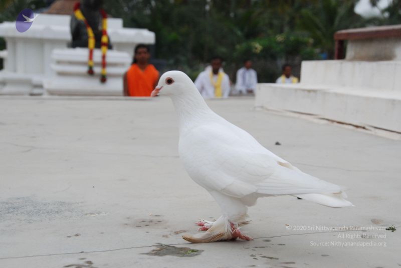 File:20100708 Photo 1218 1jx GPGi2l6ja Kr07VSuhoea3wFEYIIt.JPG