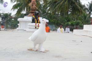 20100708 Photo 1222 1 8FmEpTBfAIJS8Frx7poshTdjM0eW3XK.JPG