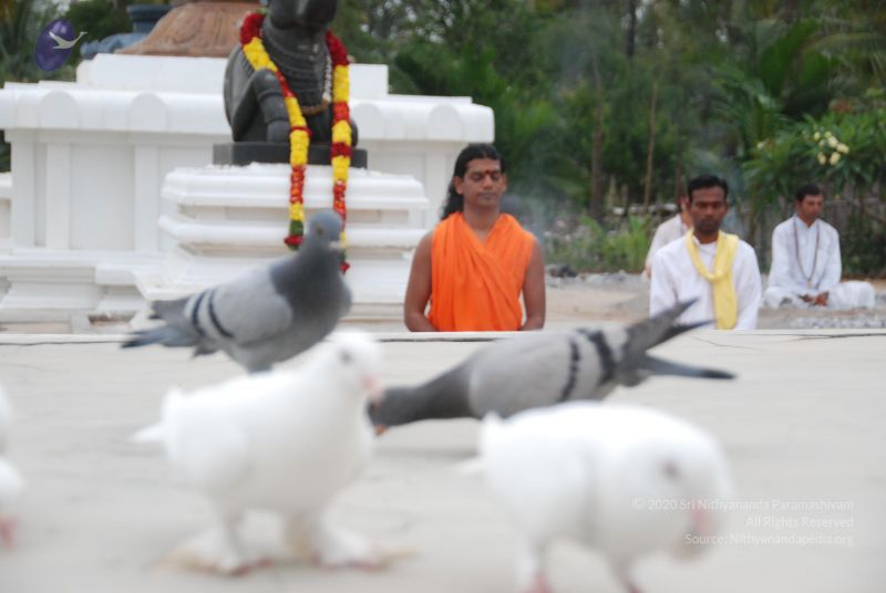 File:20100708 Photo 1227 1y O aclq4mABXPbWnduXSaqfQgIVJZ7A.JPG