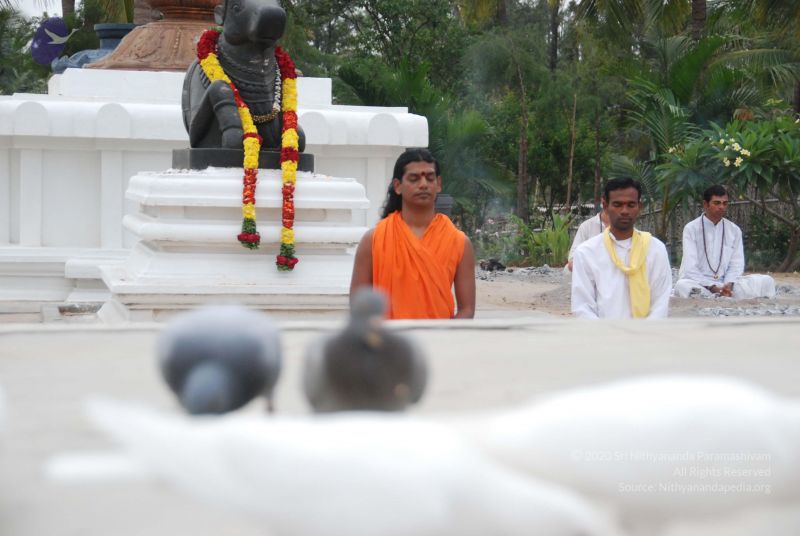 File:20100708 Photo 1228 1-4TxMXEMhUSjh3TnbnIBXU85DjpbtTTQ.JPG