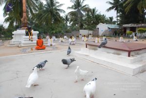 20100708 Photo 1231 100mEXjxPYkqx84xkn r780H720EjrwFR.JPG