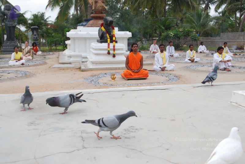 File:20100708 Photo 1233 13SEqcvJ-Hy6FrlgKVIu1wWHf2CxpLogN.JPG