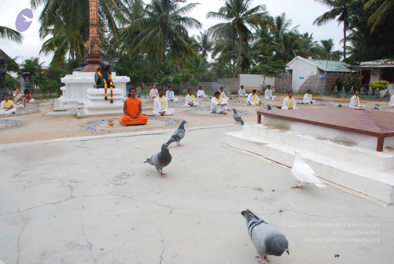 File:20100708 Photo 1234 1rlyT S02G8T2gOQzut8ST2U11Xx1MfG7.JPG