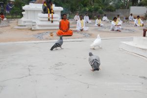 20100708 Photo 1236 1iCnrHYlFh4j00wDQ7oPIekDms-RxWIXx.JPG