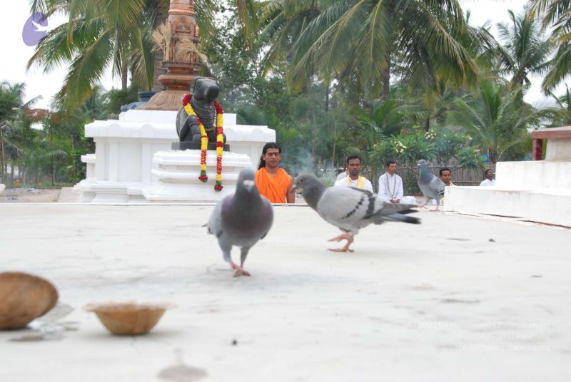 File:20100708 Photo 1239 1q11NcULkuruTDI5ISgW8ArAcY6LXF7d8.JPG