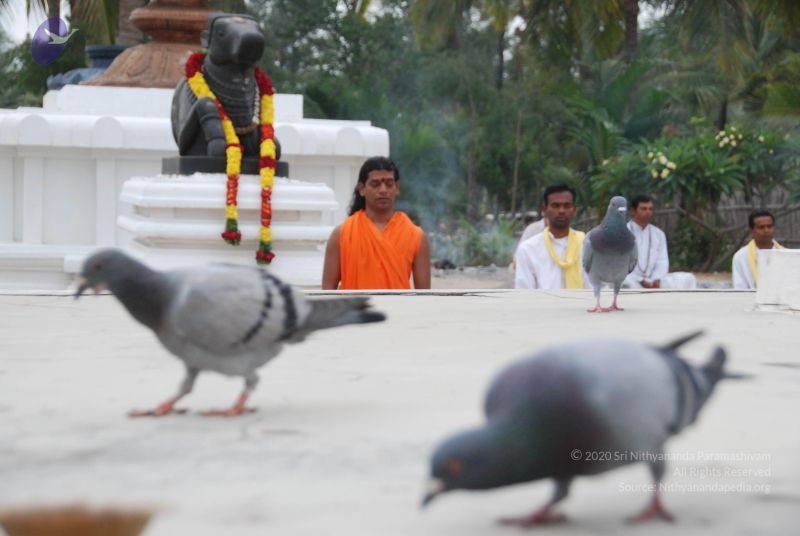 File:20100708 Photo 1240 1ypQT1bgDJTrOzWR-t-DXLBIpZth4ACSy.JPG