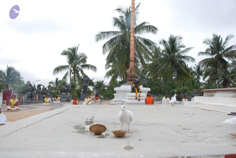 File:20100708 Photo 1241 1gasLQqi5M5Pqzaz-hruAasFSe4aUbMsn.JPG