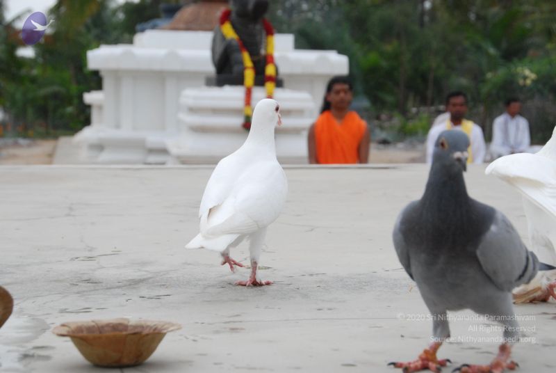 File:20100708 Photo 1242 1h56nR6EvEooIClBzjZQa oj9Gg9rieCM.JPG