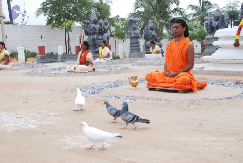 File:20100708 Photo 1243 1oDcke6x7vLUcsgXHPNdxIEb-05BQ9Bbq.JPG