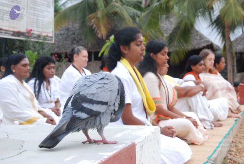 File:20100708 Photo 1248 1pVFnsd96PT2y8FzqoNxbtXMHdSXWt4eV.JPG