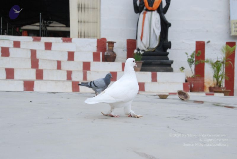 File:20100708 Photo 1257 1RFDp4hZ1IWAuoppyYxSryJx7WEt-yPqF.JPG