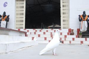 20100708 Photo 1258 1ge43ib1QRvOMfeWBp4q-QF7 GUz mdJ0.JPG