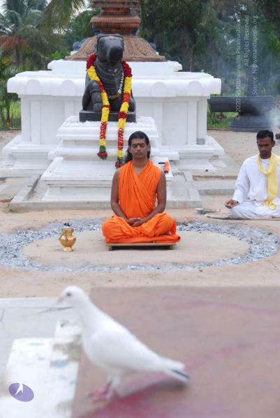 File:20100708 Photo 1291 1nQ5aRuVhxL9nFUP XZYsQW1SHL85twX .JPG