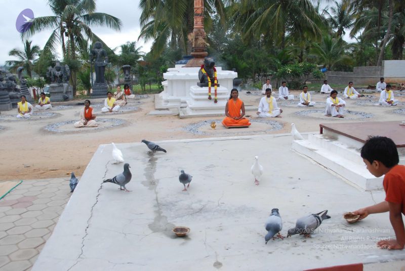 File:20100708 Photo 1292 11bbOt4oRU4Y36I6URsYpt031 M1qHdD3.JPG