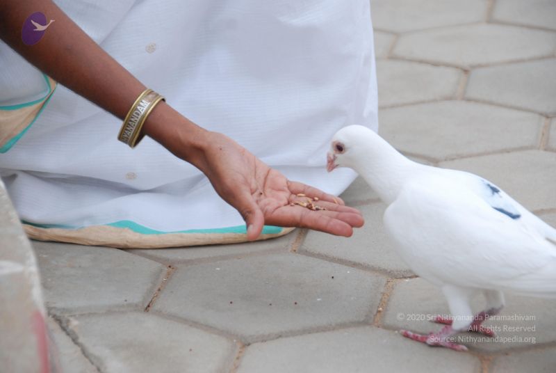 File:20100708 Photo 1299 1IAC6YkPA8p80yxKMZW7qxVvj2dhLgRwX.JPG