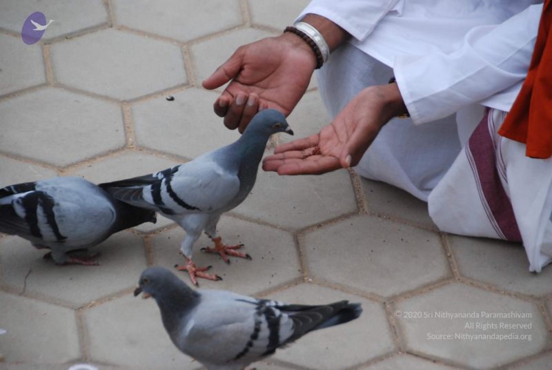 File:20100708 Photo 1303 1X-ftuehYinP8HNC9OvO9sDWXzrV0UvgS.JPG