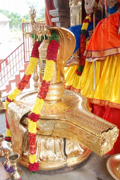 File:20100708 Photo 1333 1MW8elVbdWzmZE 6cMboDH35RSsNMVJ42.JPG