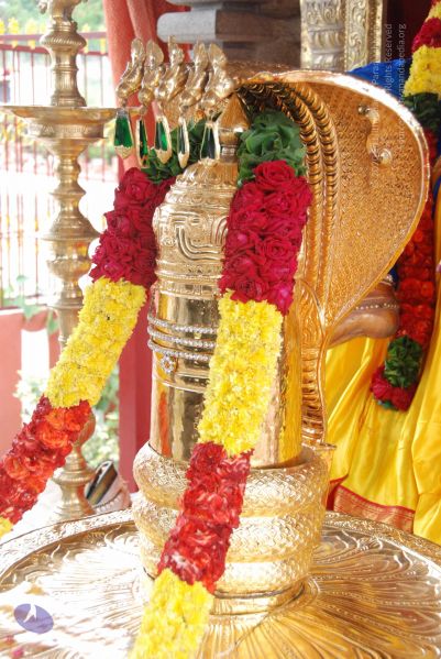 File:20100708 Photo 1354 1qUB5BIlkFFKQR58kQ-YcVODF5JI4y9ys.JPG