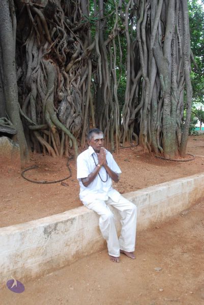 File:20100708 Photo 1376 1EqSnYaO2SVLqn-NpukHzOauCq6XlLydC.JPG