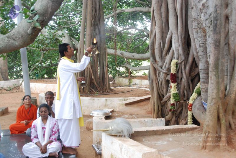 File:20100708 Photo 1385 1qvbhmvz0LSqI8PB0S-d2YGXS5LfD7G0A.JPG