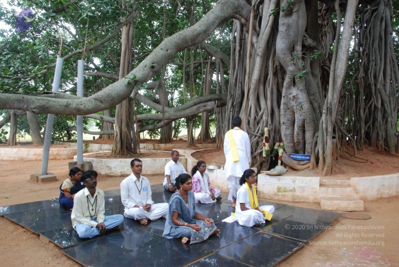 File:20100708 Photo 1391 1kY6jzzCGqr0VATBEWnnPtxcox5vW 8VH.JPG