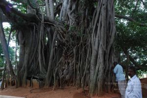 20100708 Photo 1392 1Dgwzf12dSyuq5CoWMeV1OIw9C6AEVooP.JPG