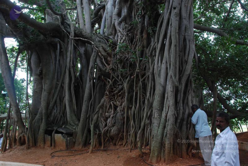 File:20100708 Photo 1392 1Dgwzf12dSyuq5CoWMeV1OIw9C6AEVooP.JPG