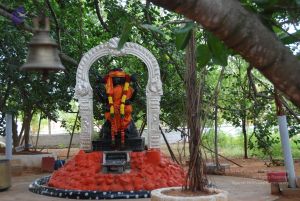 20100708 Photo 1483 1IgMB6fbabnGjUZPjPgIe4dr9Odh52yEl.JPG