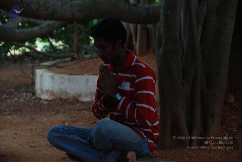 File:20100708 Photo 1496 1uTSBq8RgwNMBAnwkYFJa1bawB5fG7SZ-.JPG