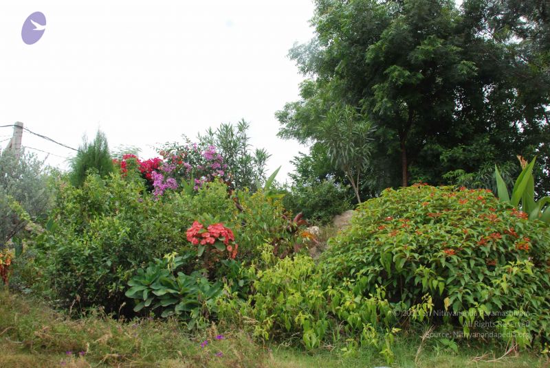 File:20100708 Photo 1807 1dTM8pHcjmSLinjuz6KbXuMQwhJJUNxva.JPG