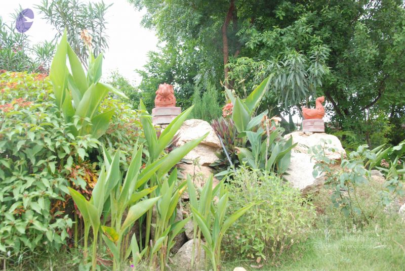 File:20100708 Photo 1809 1YSULy TMY-aa9dZDgNpYGrUsnk25cpoG.JPG