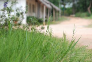 20100708 Photo 1817 1ypQdUfKqJKfT7Yg0addMFXPyNXCRvLnG.JPG