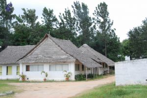 20100708 Photo 1820 1llupcpvS6Zp5WbtVr4UOXuKdC0h3Z4qb.JPG