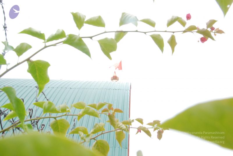 File:20100708 Photo 1824 1kuwFvWKdvyM4tQOCG4EYzRv3v7w-oPqG.JPG