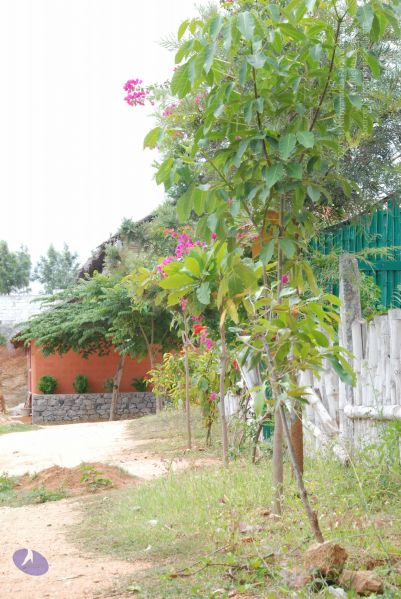 File:20100708 Photo 1830 1wdJJcI2bKhraadiOLJLWpNKx yFt-ZPg.JPG