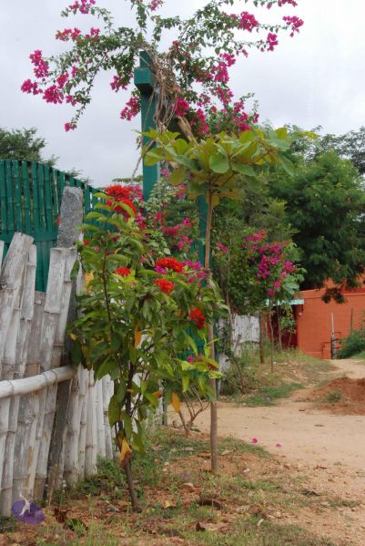 File:20100708 Photo 1846 161u5KT6IgiNnZZRZaZerSdAUUtfy2JrP.JPG