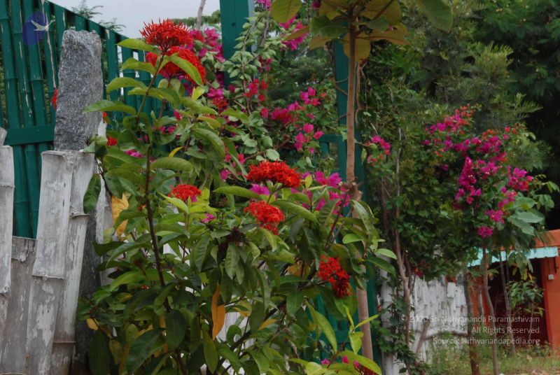 File:20100708 Photo 1848 1zlNxm1wNhZ -cIVO9 CJI-EFqjjtAf-L.JPG